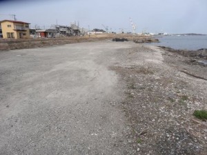  被災後の更地が目立つ塩釜漁港の後背地で、水産加工の苦境が続く(筆者撮影)